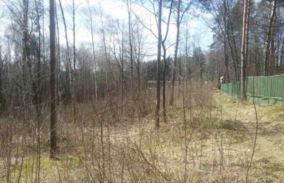 photo 63f3da3813da3_thumb.jpg