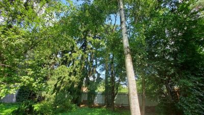 photo 66f13318f3037_thumb.jpg
