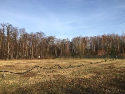 photo 63bde97b1d618_thumb.jpg